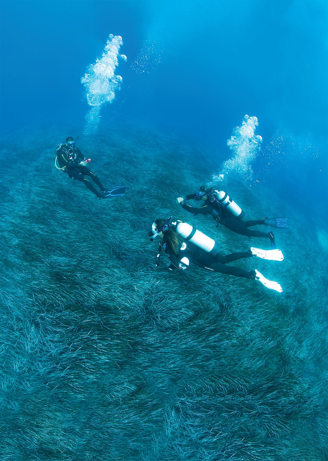 Divemaster
