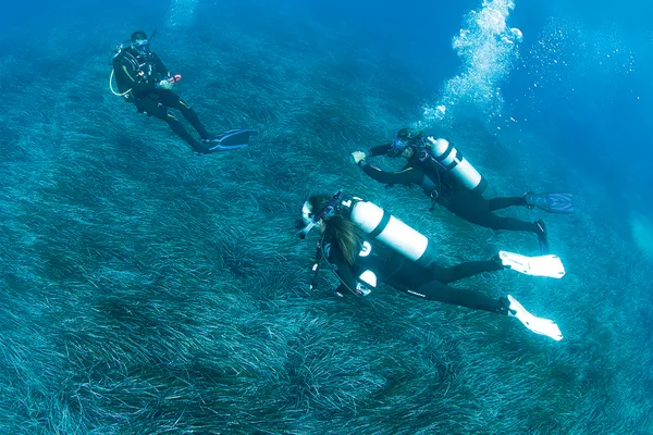 Divemaster