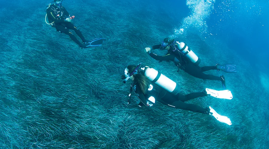 Divemaster