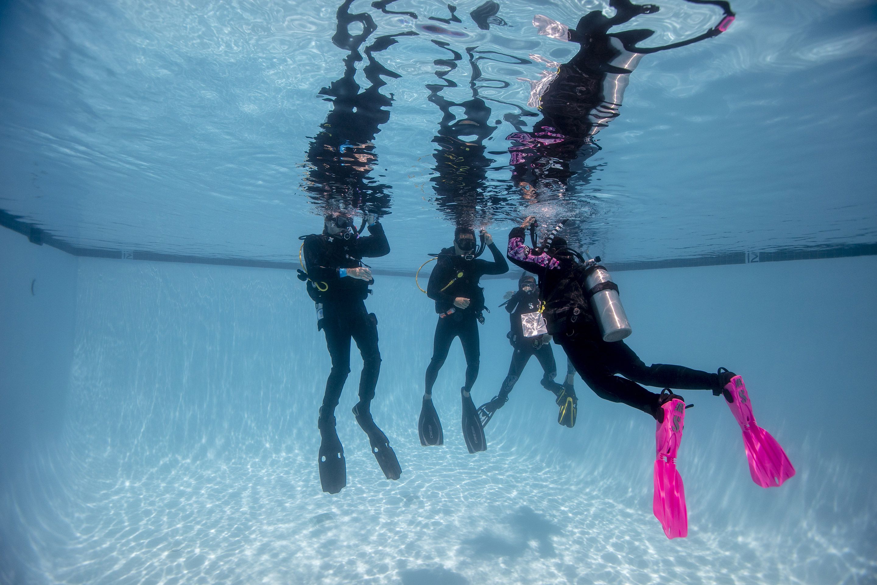 Baptême de plongée : à quoi s'attendre pour votre première immersion