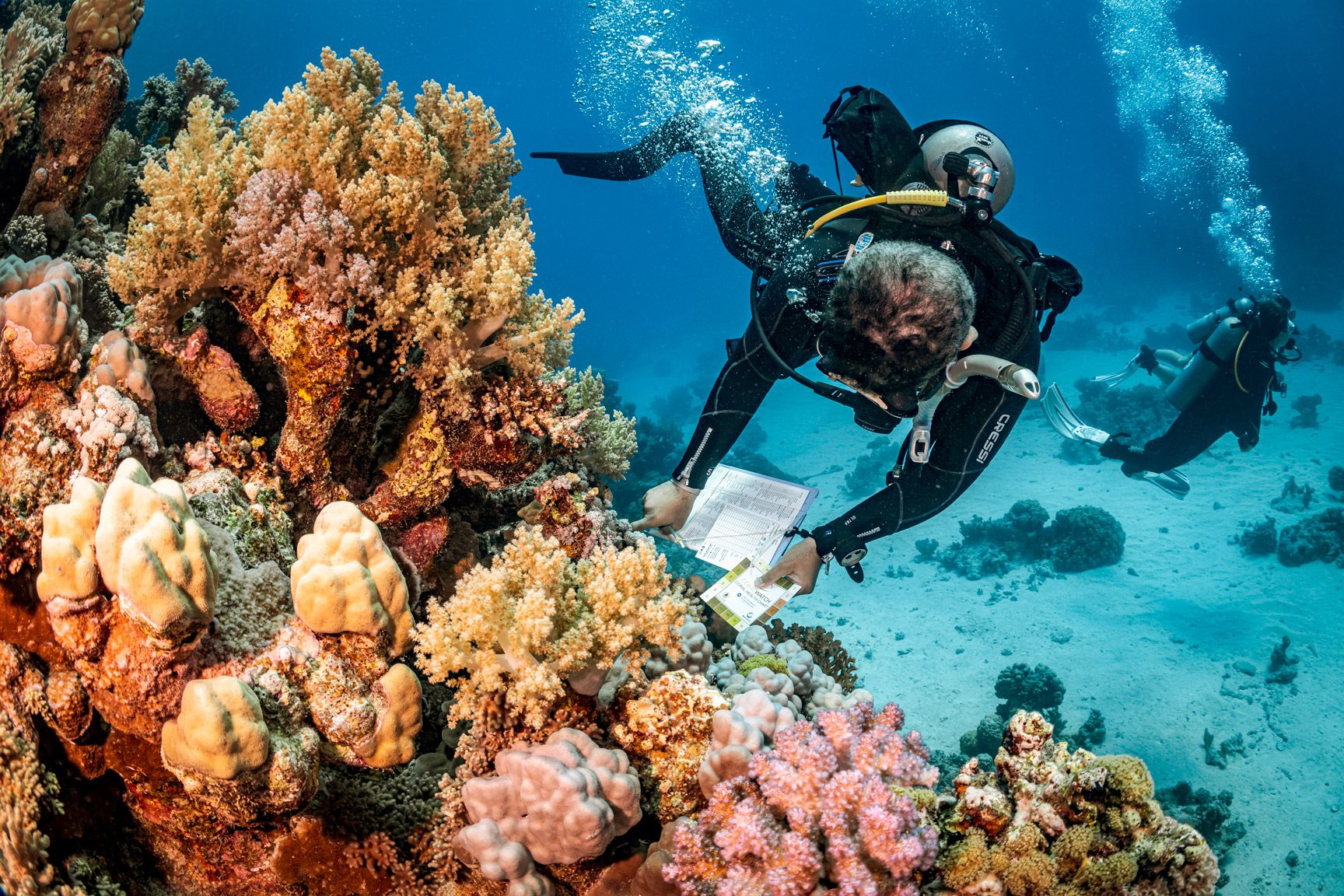 Plongeur photographe utilisant un appareil sous-marin